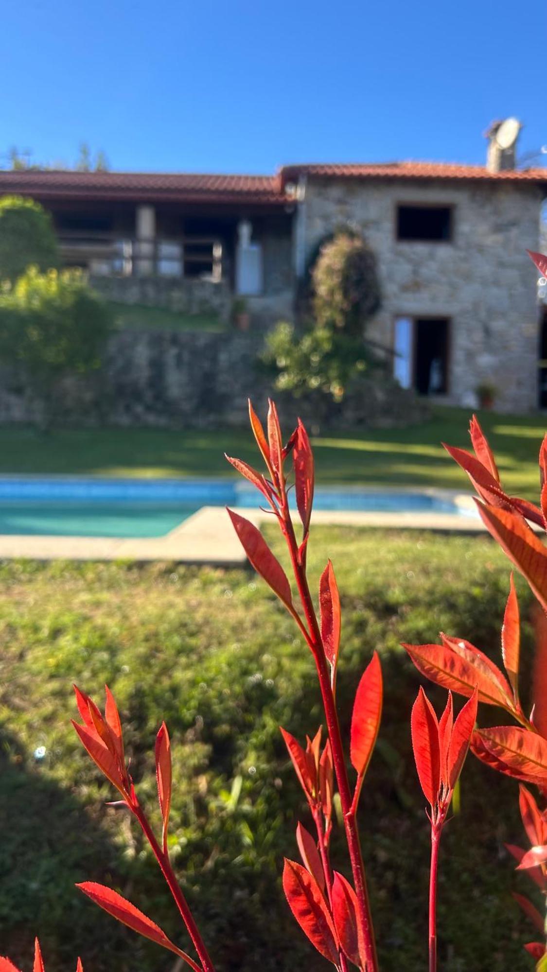 Casa Das Andorinhas Селорику ди Бащу Екстериор снимка